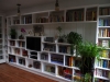 bookshelf-1